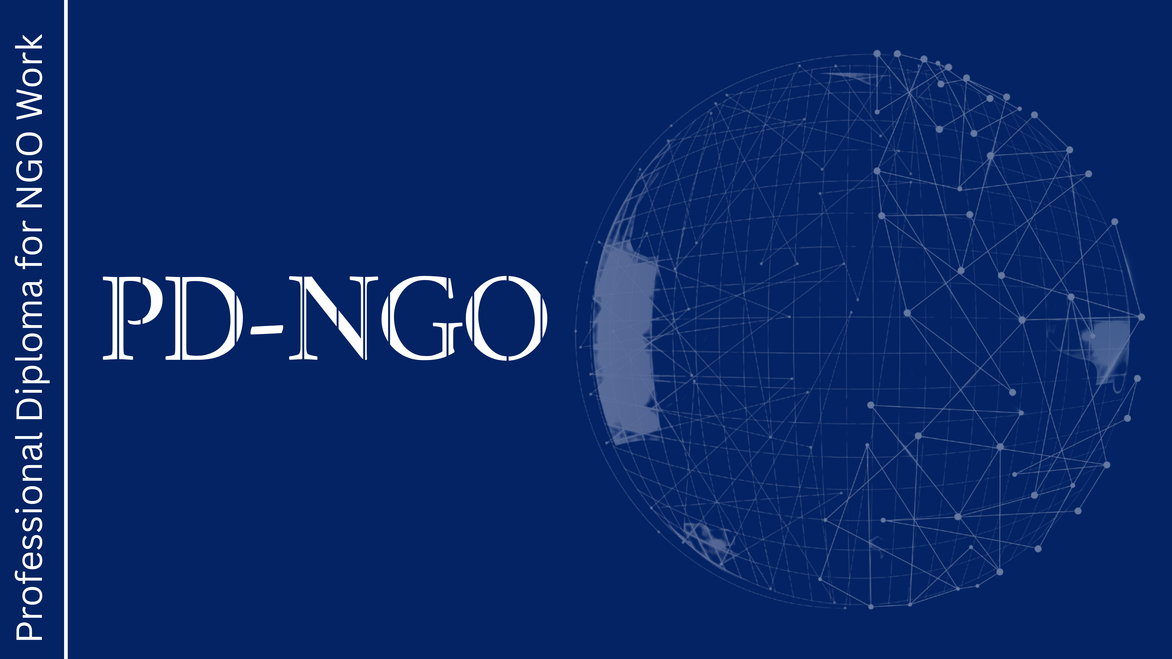 الدبلوم المهني للعمل في المنظمات غير الحكومية